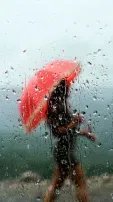 Monsoon Wellness: 8 Simple Health Tips To Stay Safe During Rainy Days