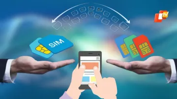 How to port to other telecom operators amid mobile tariff hikes in India