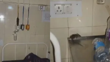 Rats attack in Koraput SLN Medical College & Hospital giving patients sleepless nights