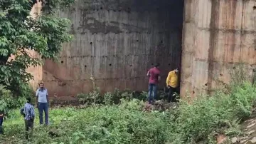 Human skeleton found under bridge in Sundargarh, police probe begins