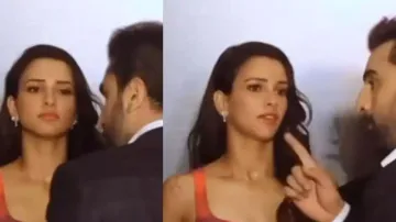 Animal vs Bad Newz: Ranbir Kapoor’s violence to protect family vs Triptii Dimri’s pregnancy with 2 m