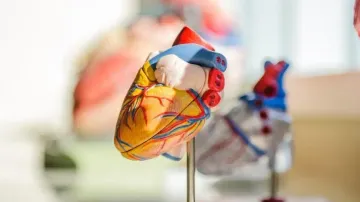 Why early cholesterol testing is important