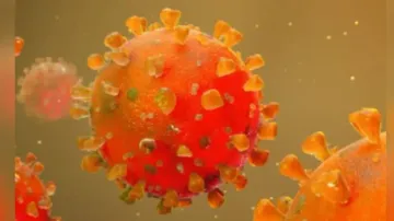 Study shows KP.2 Covid variant dominant in India