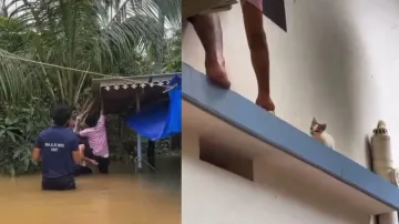 Wayanad Tragedy: Adorable video of youths feeding cats in flooded house will leave you teary-eyed
