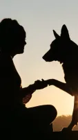 Friendship Day: 7 Videos That Depict Several Forms of Friendship
