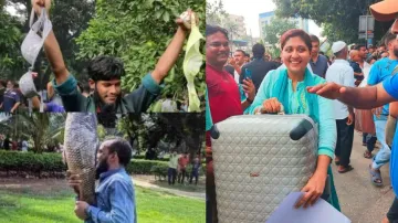 Protesters were  seen parading on the road with the loot