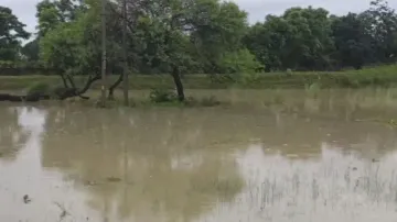 Heavy rains wreak havoc in Odisha