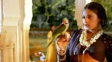 Anu Agarwal opens up about her topless scene in The Cloud Door, addresses 'relationship' rumours wit