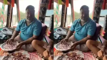 Indian truck driver earning around Rs 10 lakh a month; video not for low-paying job holders! Watch