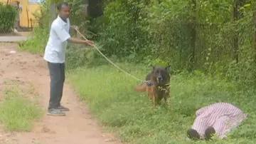Odisha Police's search and rescue dog Storm returns from Wayanad, makes state proud 
