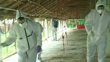 Two suspected human cases of bird flu detected in Odisha, samples sent to RMRC for test