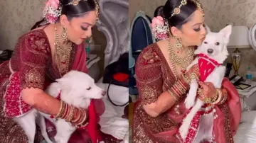 Bride Dresses Pet Dog as Bridesmaid on her D-day