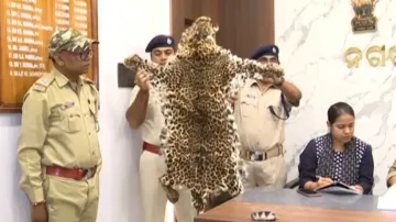 OISF jawan among 7 held with leopard body parts in Odisha