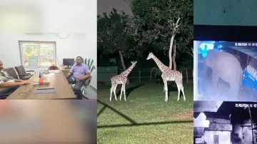 Odisha Morning news Today