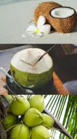 World Coconut Day 2024: Know Health Benefits & Delicious Recipes Of Versatile Coconut