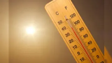 2024 hottest year