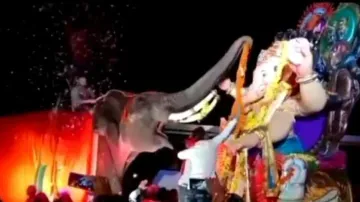 Adorable video of elephant garlanding Lord Ganesh gives goosebumps - Watch