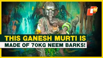 11-Ft Tall Ganesh Idol Crafted From 70 Kg Of Neem Bark In Surat | Ganesh Chaturthi 2024 