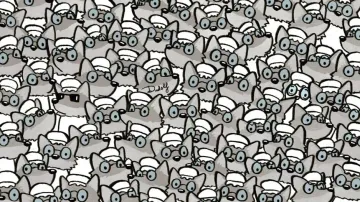 Little Red Riding Hood-themed optical illusion 