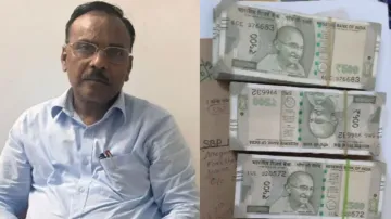 Rambhav Gattu