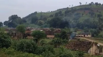 Kalahandi honey-bee attack