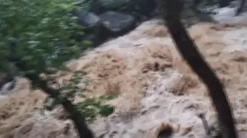 2 medical students drown, 1 missing at Jalatarangini Waterfalls on Andhra-Malkangiri border