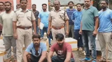 One tonne turtles seized in Odisha, 2 arrested 