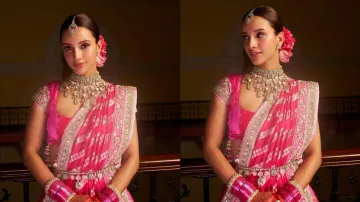 Triptii Dimri breaks internet with her Navratri looks