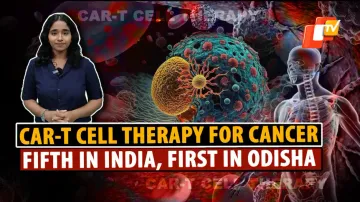CAR T Cell Therapy