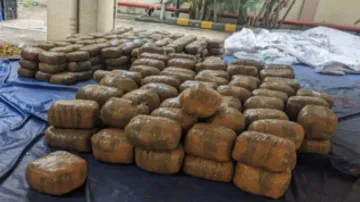 Over 808kg ganja worth over Rs 1.62 crore seized while being smuggled to Bhubaneswar