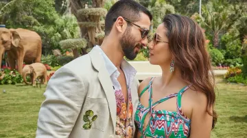 Shahid Kapoor Mira Rajput bedroom secret