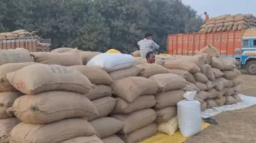 Odisha to install quality analyser machine to end farmers’ ‘katni-chhatni’ woes in paddy procurement