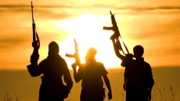 Four IS militants killed in airstrikes in Iraq