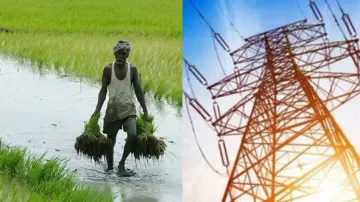 Cyclone Dana: Odisha govt puts Tata Power on alert; OUAT releases advisory for farmers