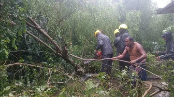 Cyclone Dana Causes Extensive Damage In Odisha