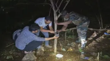 Hunt for leopard in Bhubaneswar ends with a wild cat