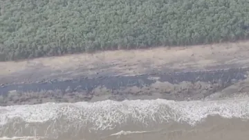 Mangrove forests served as a natural barrier against Cyclone Dana