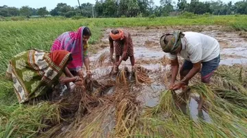 Odisha farmers