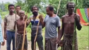 Simian terror grips Balasore residents as over 50 injured in monkey attack