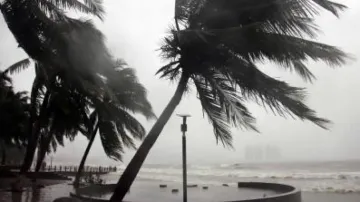 Typhoon Trami leaves seven dead, one missing in China's Hainan