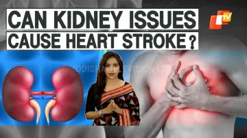 Know How Kidney Disease Is Linked With Risk Of Cardiovascular Diseases, Even Strokes