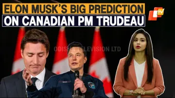 Elon Musk Predicts Justin Trudeau's Downfall in 2025 Election Amid Rising Pressure