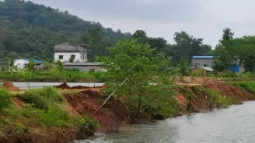 Odisha Land Jihad: PCCF seeks report from DFO after NGT notice on 100-acre forest land encroachment
