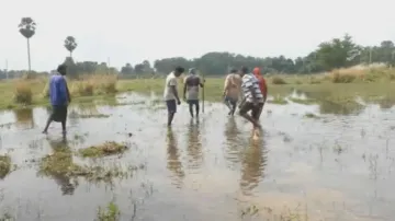 Cyclone ‘Dana’ damage assessment: Central team to arrive in Odisha on November 24