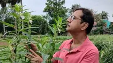 Indian researchers find new microbe reverting sesame flowers to vegetative state
