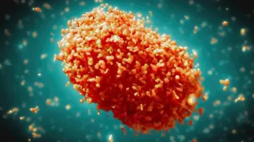 Indian researchers find new method to detect Monkeypox virus
