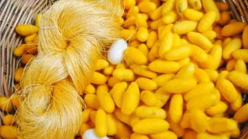 Odisha promotes 'Karuna Silk' at IITF