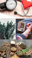 7 Herbs That Are Beneficial For Low Blood Pressure