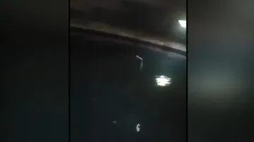 dead snake found in water tank in Odisha 