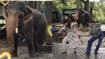 Baby elephant joins girls for dance, cute video will leave you spellbound – Watch